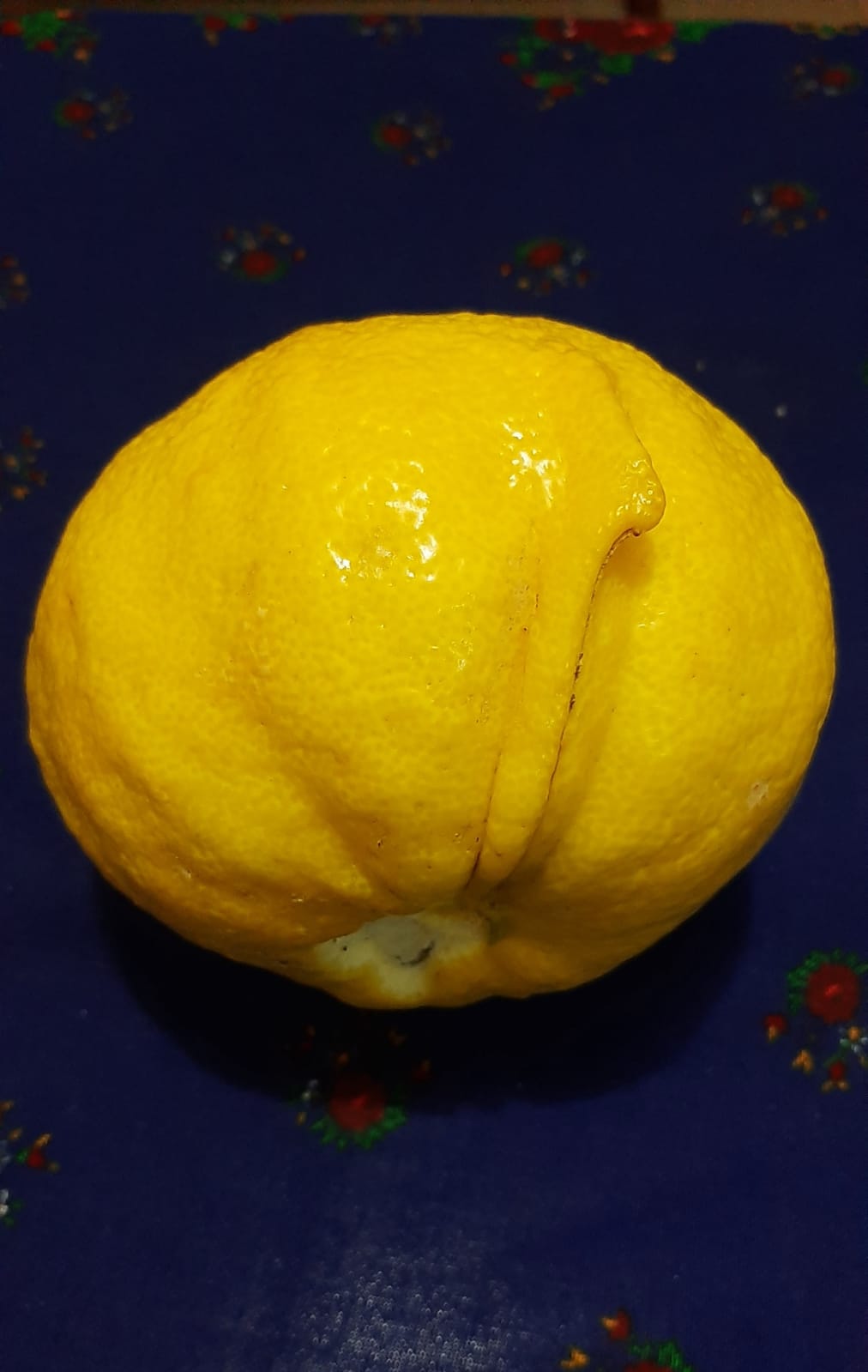 7A3D844C 2A6B 486E 97Af 5Dd7Ece5E39C