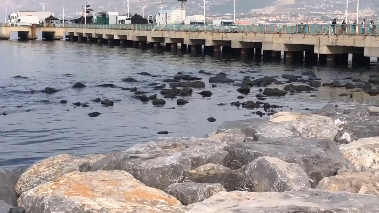 Deniz Cekilmesi.mp4 Snapshot 00.21.500