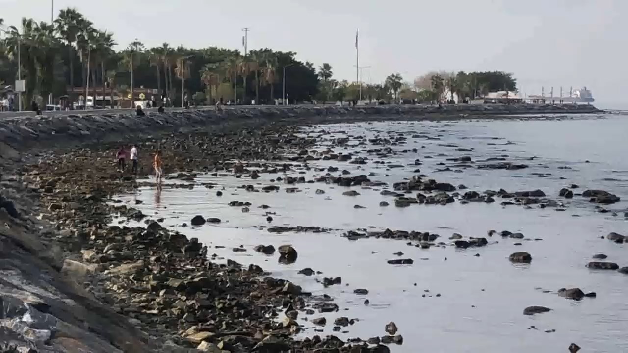 Deniz Cekilmesi.mp4 Snapshot 01.10.240