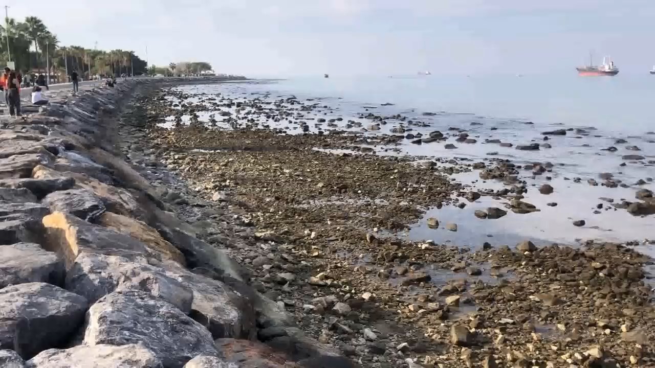 Deniz Cekilmesi.mp4 Snapshot 01.26.440
