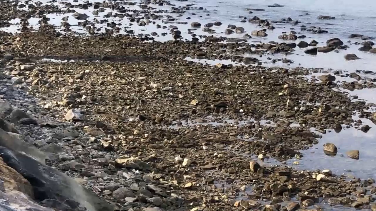 Deniz Cekilmesi.mp4 Snapshot 01.30.364
