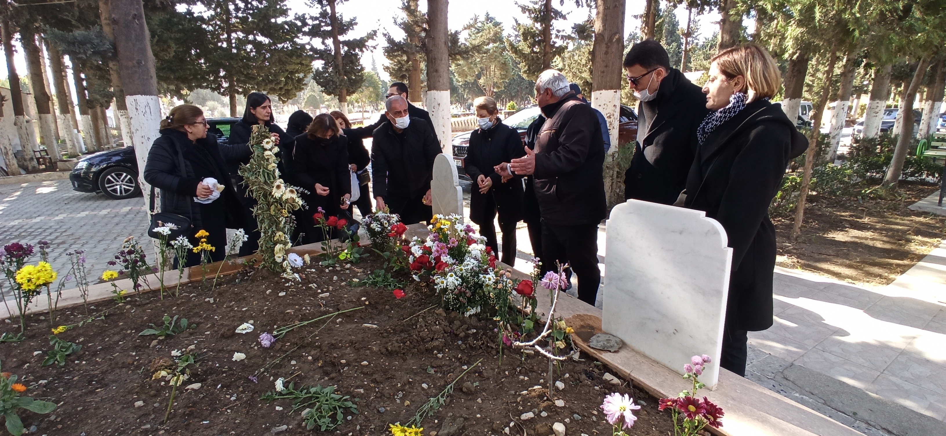 I M G 20250222 110404