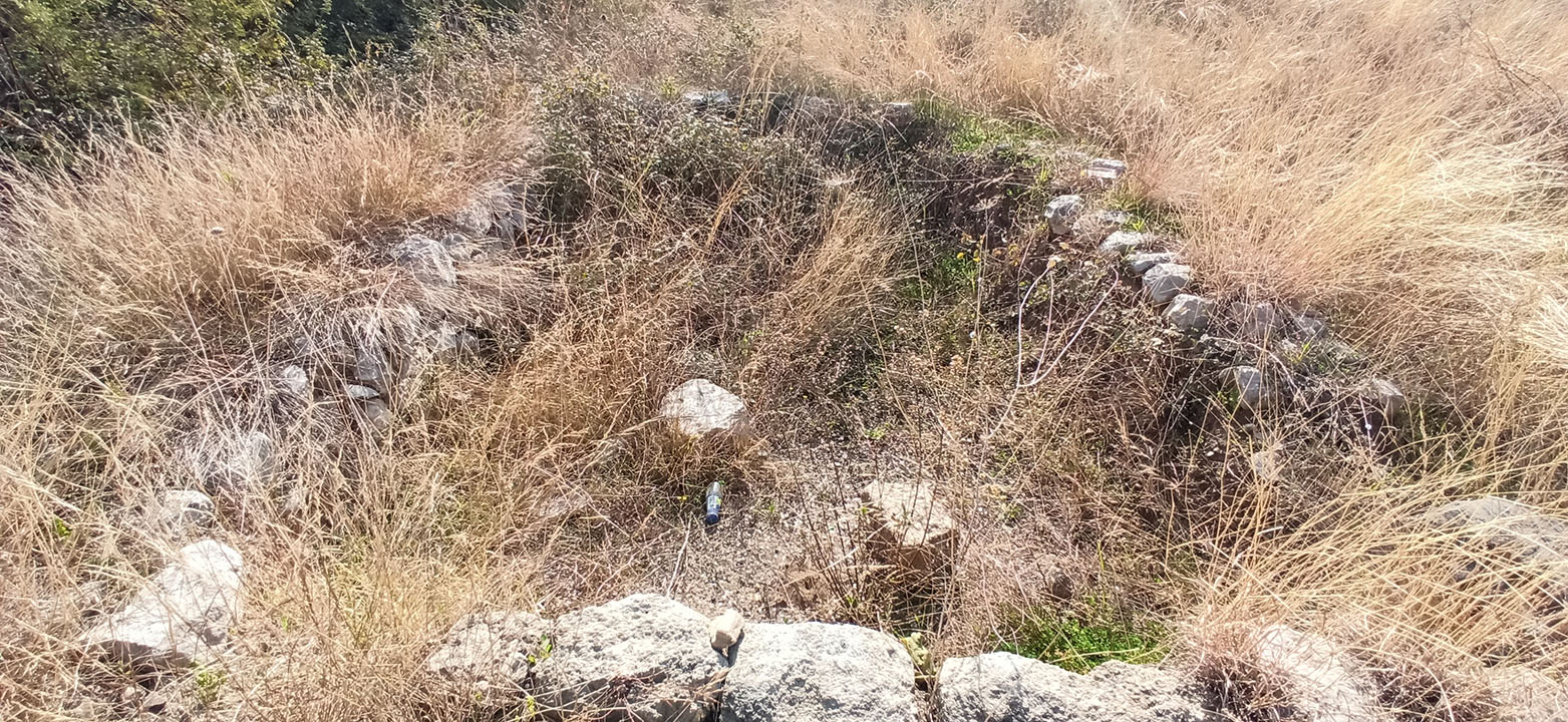 Img 20250204 104711 Copy