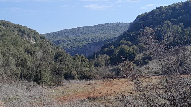 Tas Ocagi Tepki+1