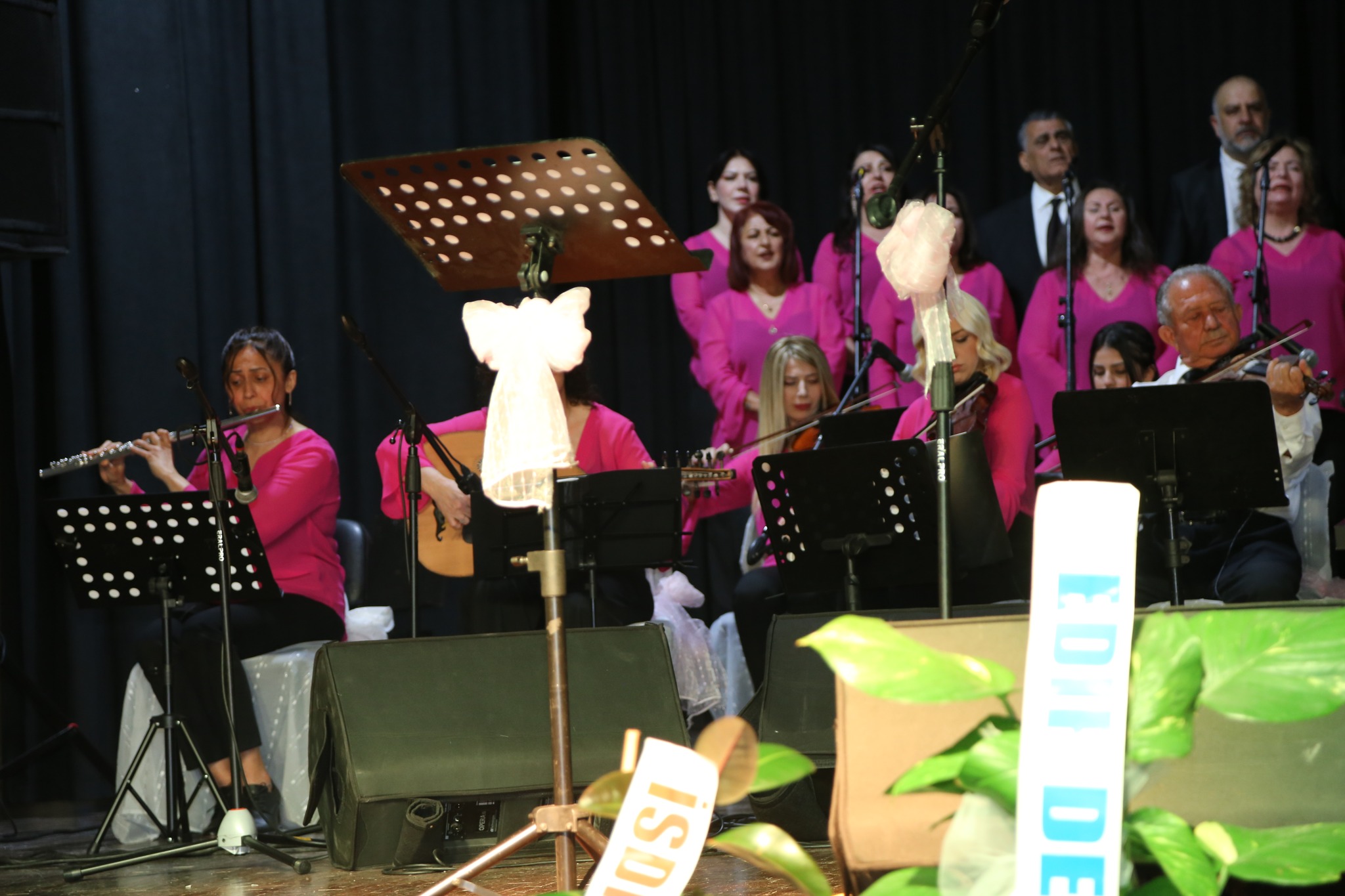 492046825 1217385673721479 975583569269096126 N