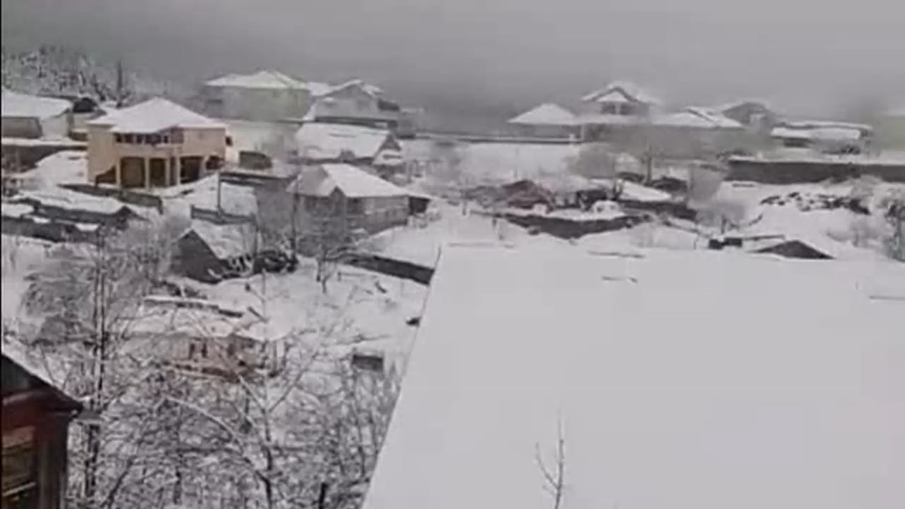 Nisanda Kar.mp4 Snapshot 00.12.040