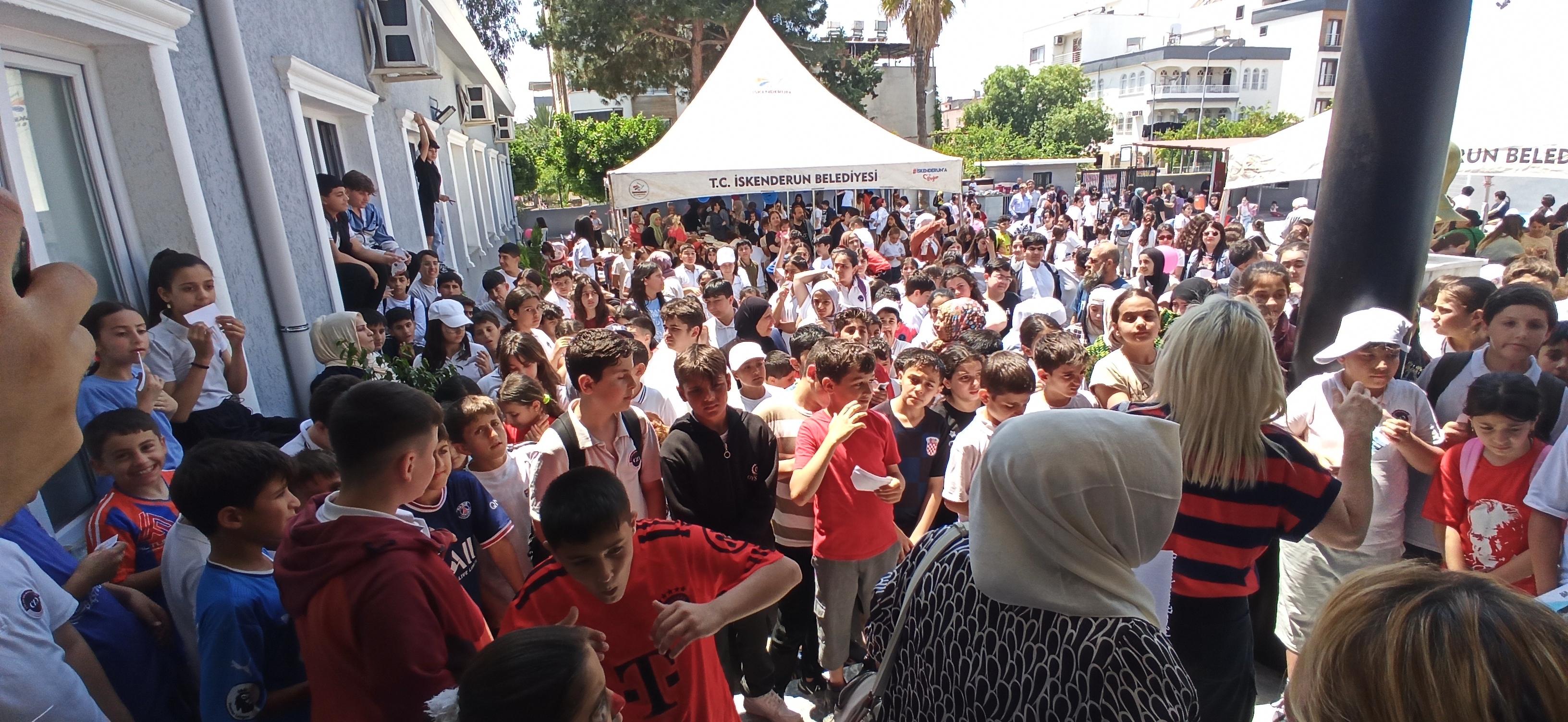 Czd Kermes (2)