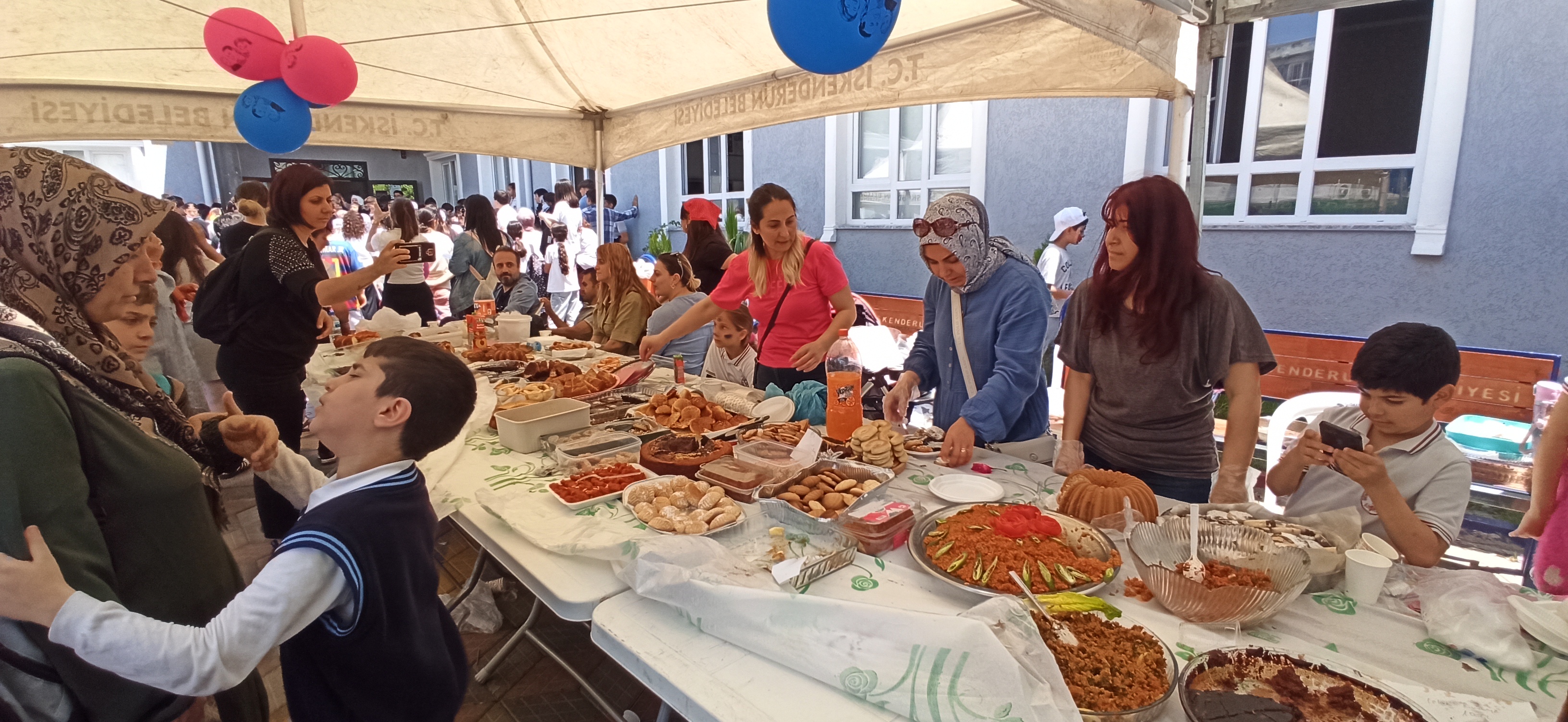Czd Kermes (3)