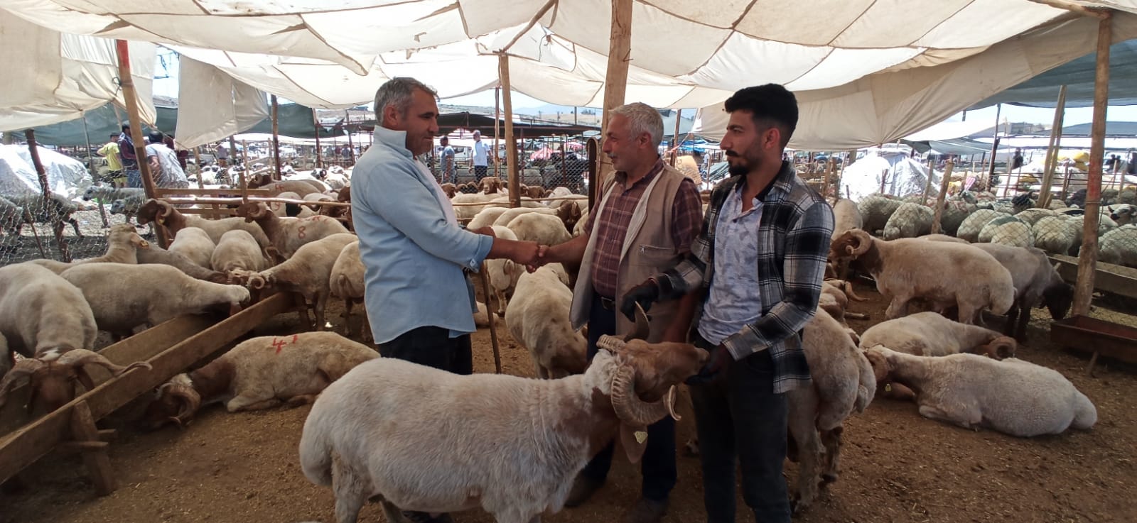 Kurban Pazari (4)