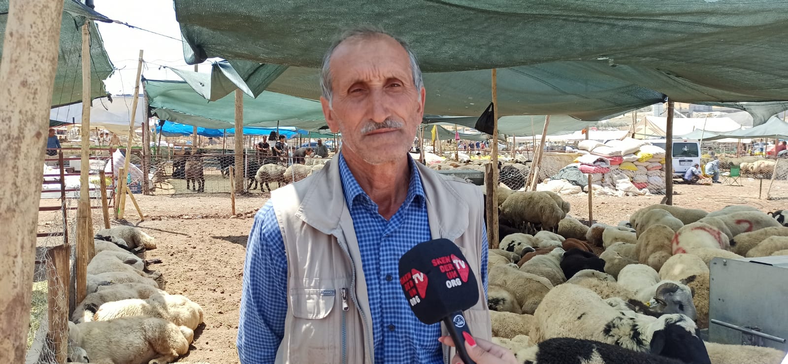 Kurban Pazari (7)