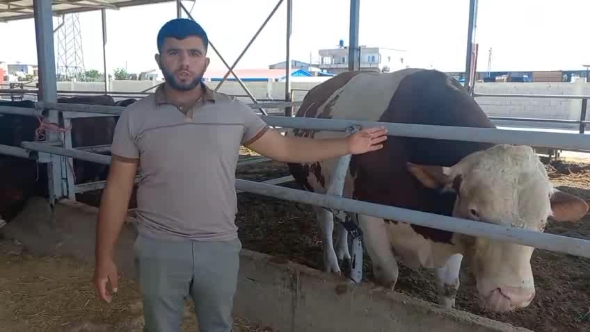 Whatsapp Video 2025 05 24 At 15.11.26.Mp4 Snapshot 00.01.214