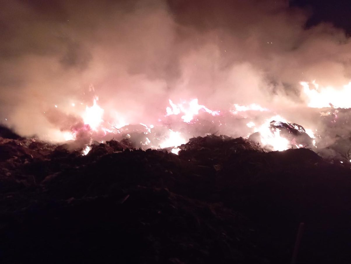 508694438 18282652627302183 4068610742253985655 N