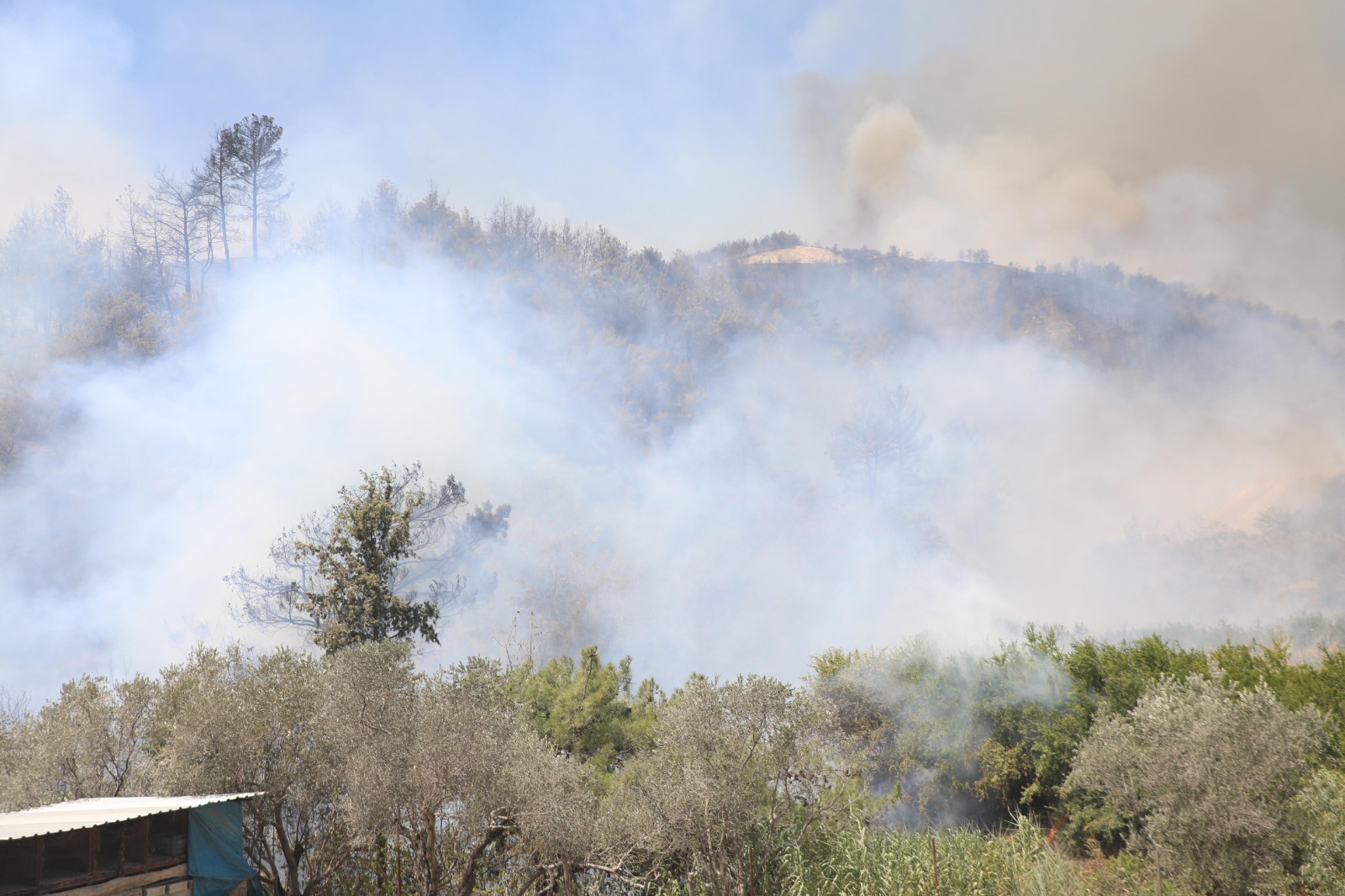 Antakya Ucgedik Karaali Yangini (10)