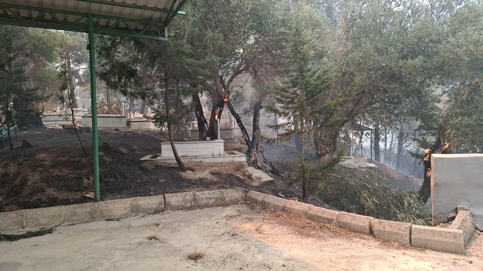 Antakya Ucgedik Karaali Yangini (4)