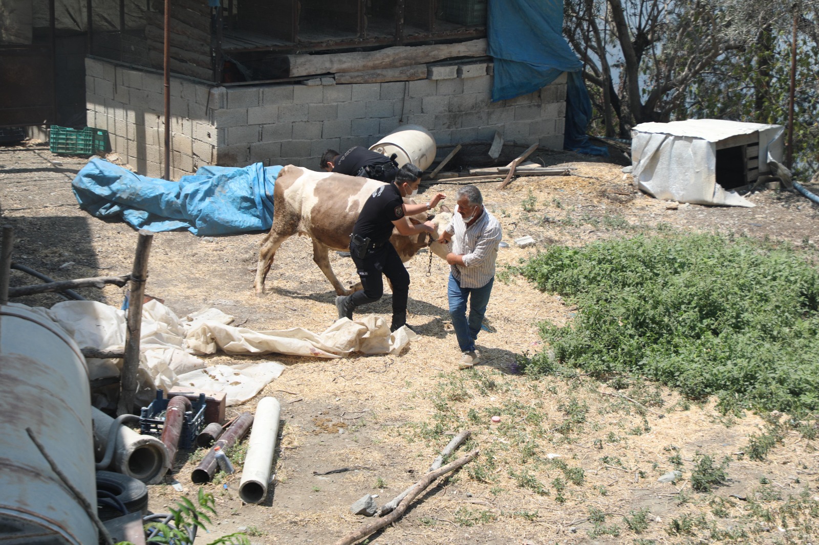 Antakya Ucgedik Karaali Yangini (7)