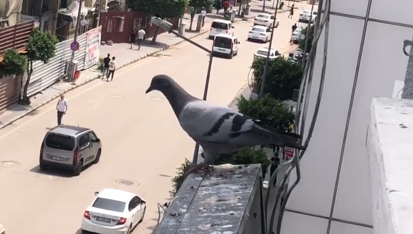 Whatsapp Video 2025 06 14 At 13.54.34.Mp4 Snapshot 00.29.854