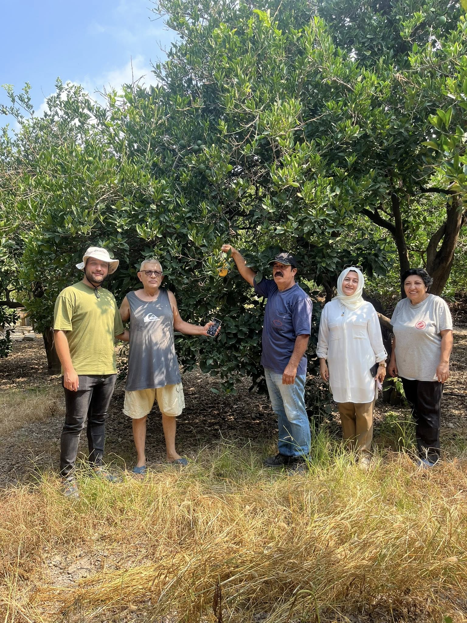 520426425 683819561326073 1259393718551248001 N