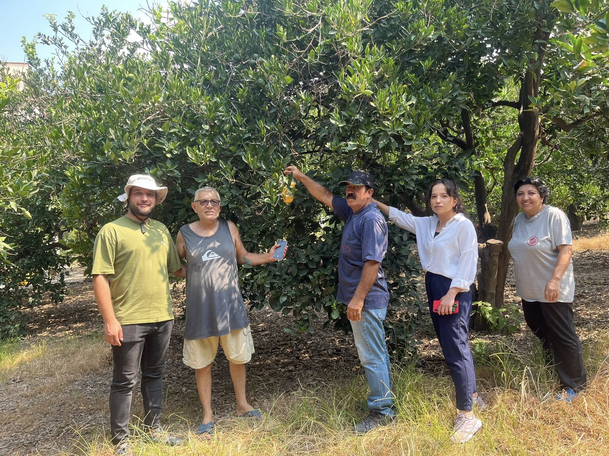 520730021 683819514659411 2941271472849830071 N