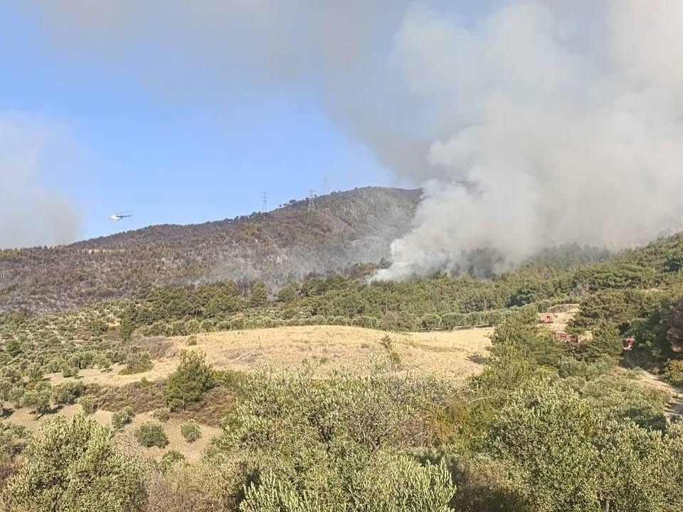 Hatayin Cigerleri Yaniyor (2)-1