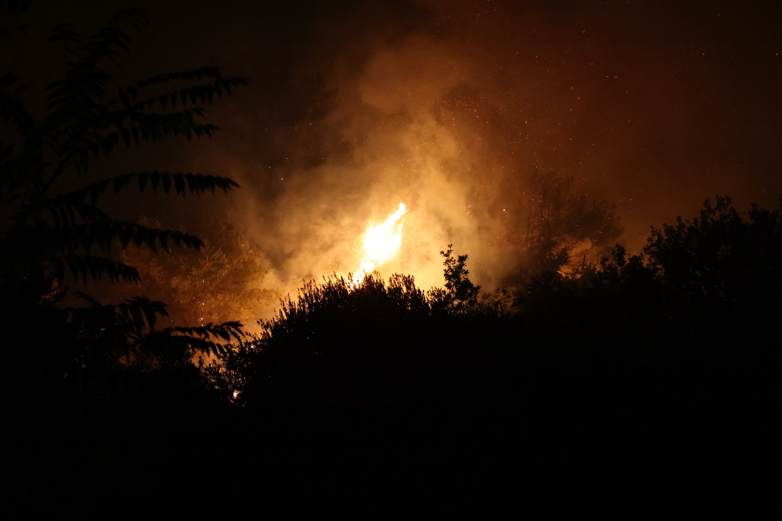 Hatayin Cigerleri Yaniyor (7)