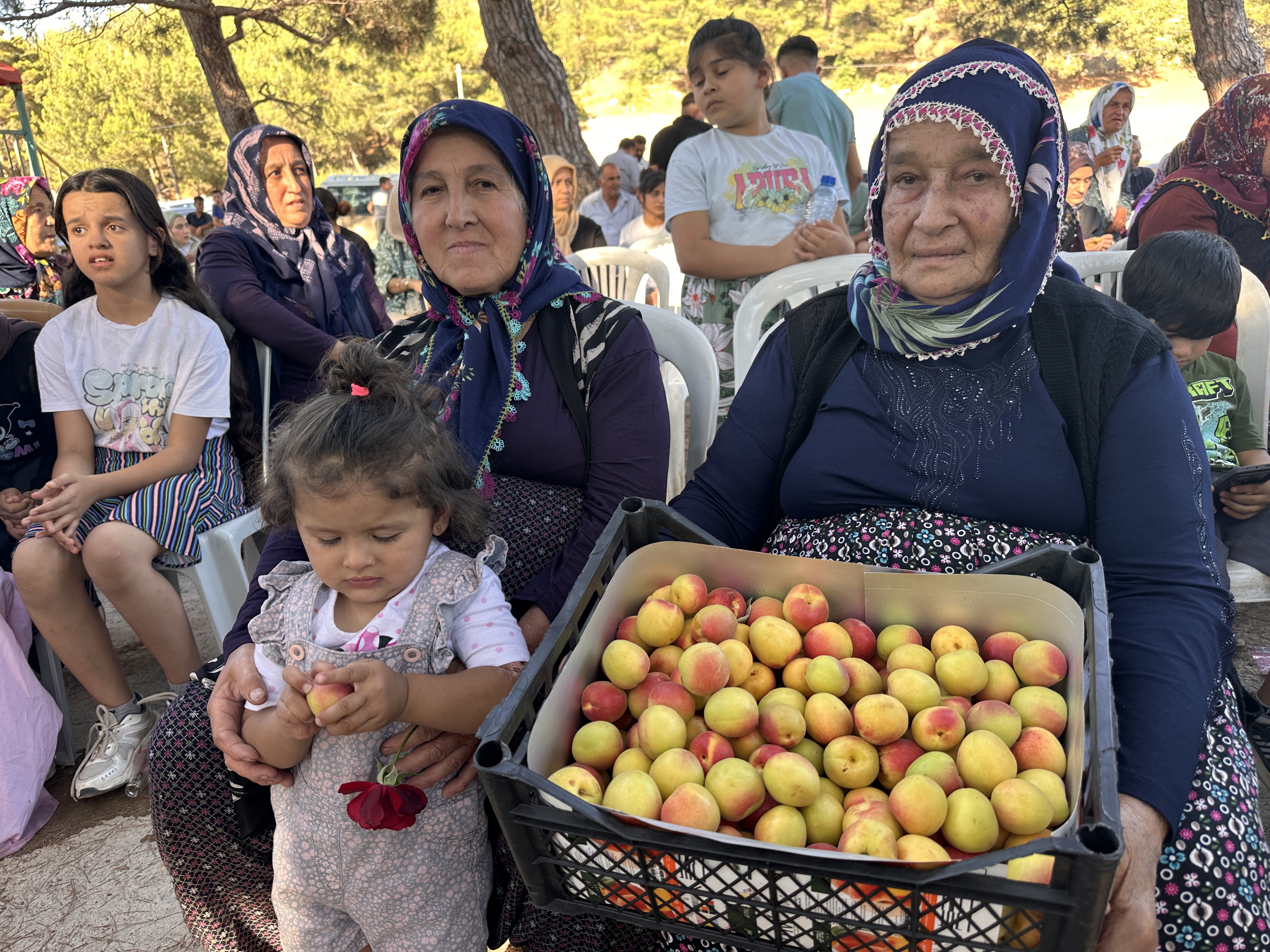 Kozakli Kayisi Festivali (4)