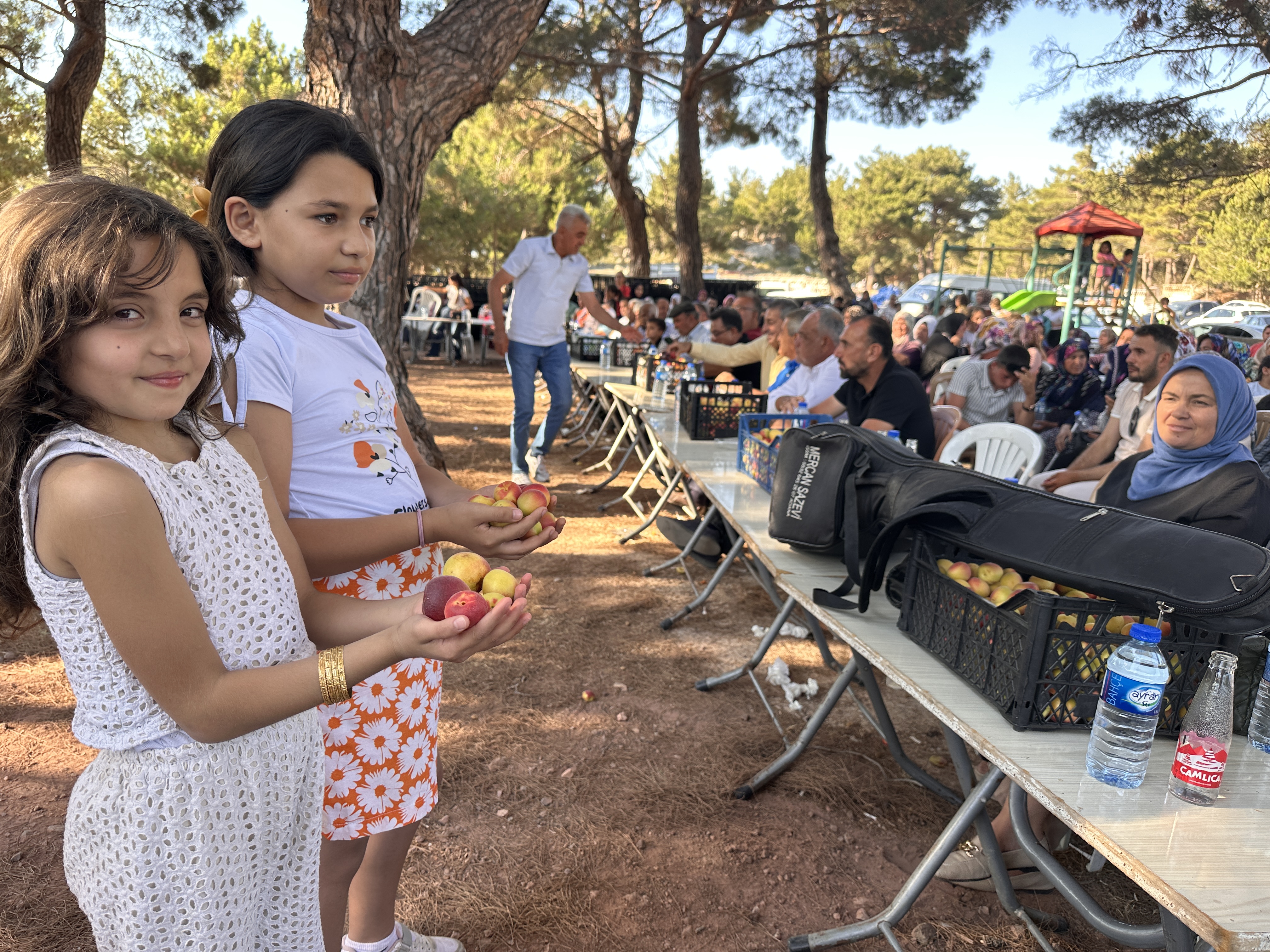 Kozakli Kayisi Festivali (6)