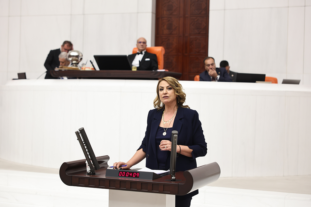 Nermin Yildirim Kara (5)