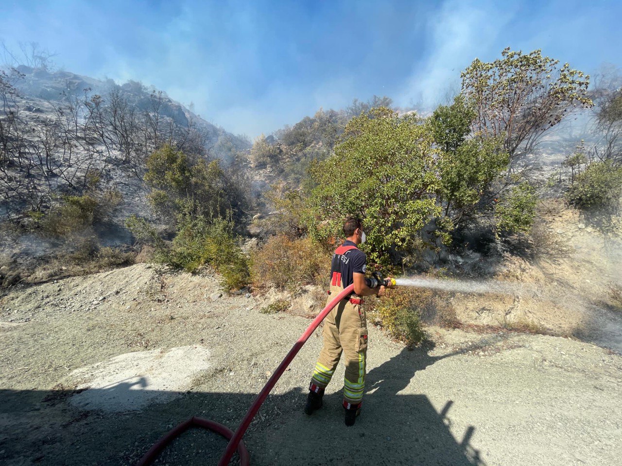 15Ff0245 79E1 498B 9652 8B3Ec0Bfb8F9