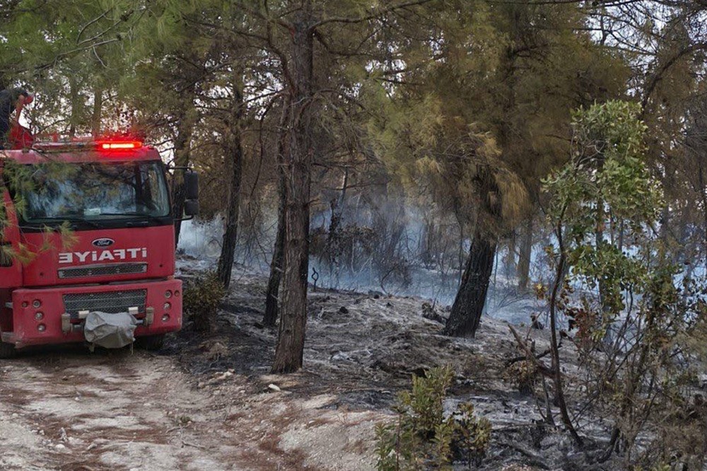 868C04Df D3D4 4B5E 89E0 F9C0951D08C8