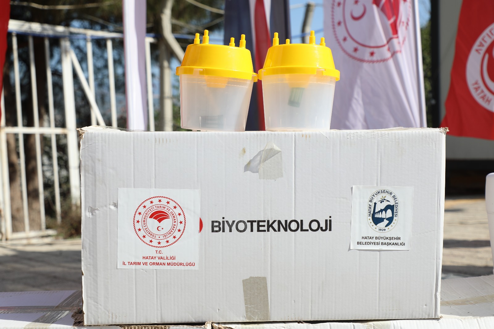 Akdeniz Meyve Sinegi Mucadele (3)