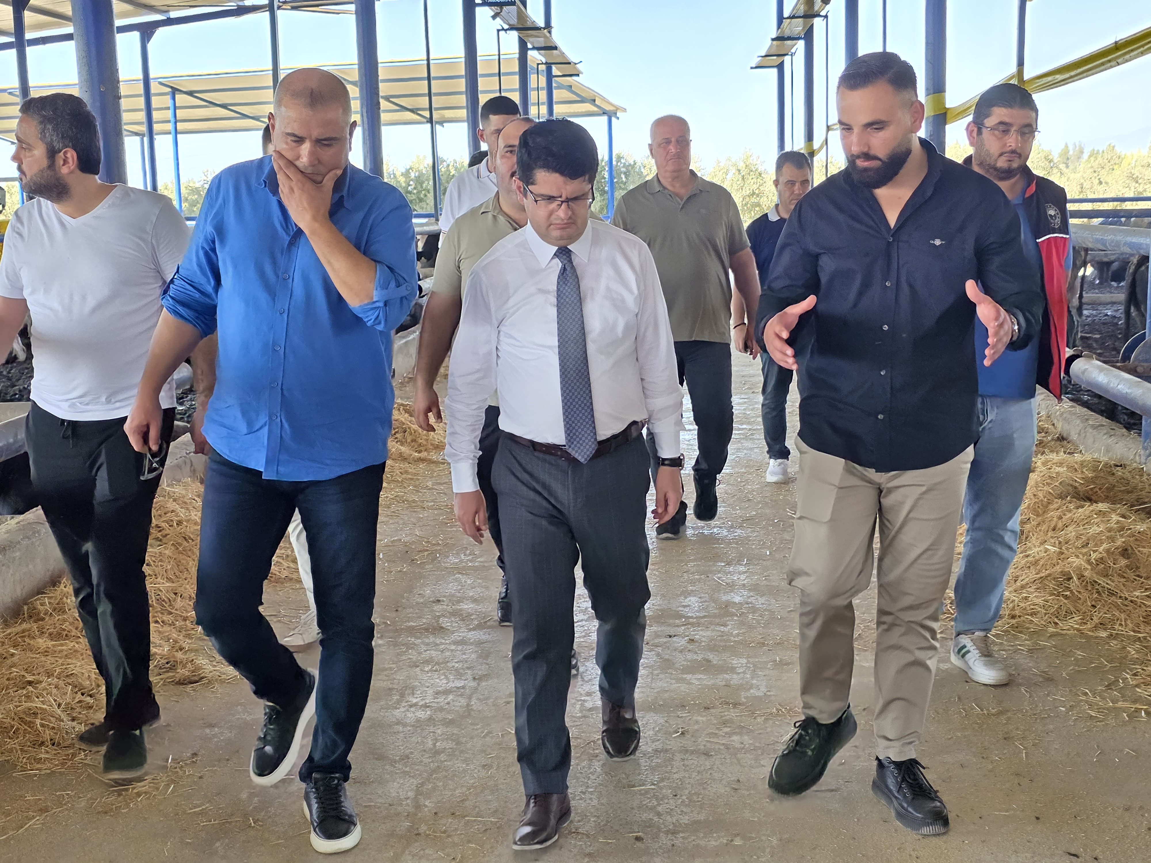 Arsuz Hayvancılık (3)