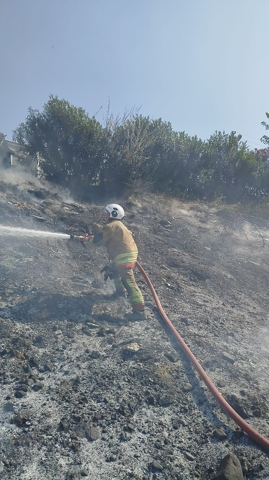 Ot Yangini Korkuttu (1)