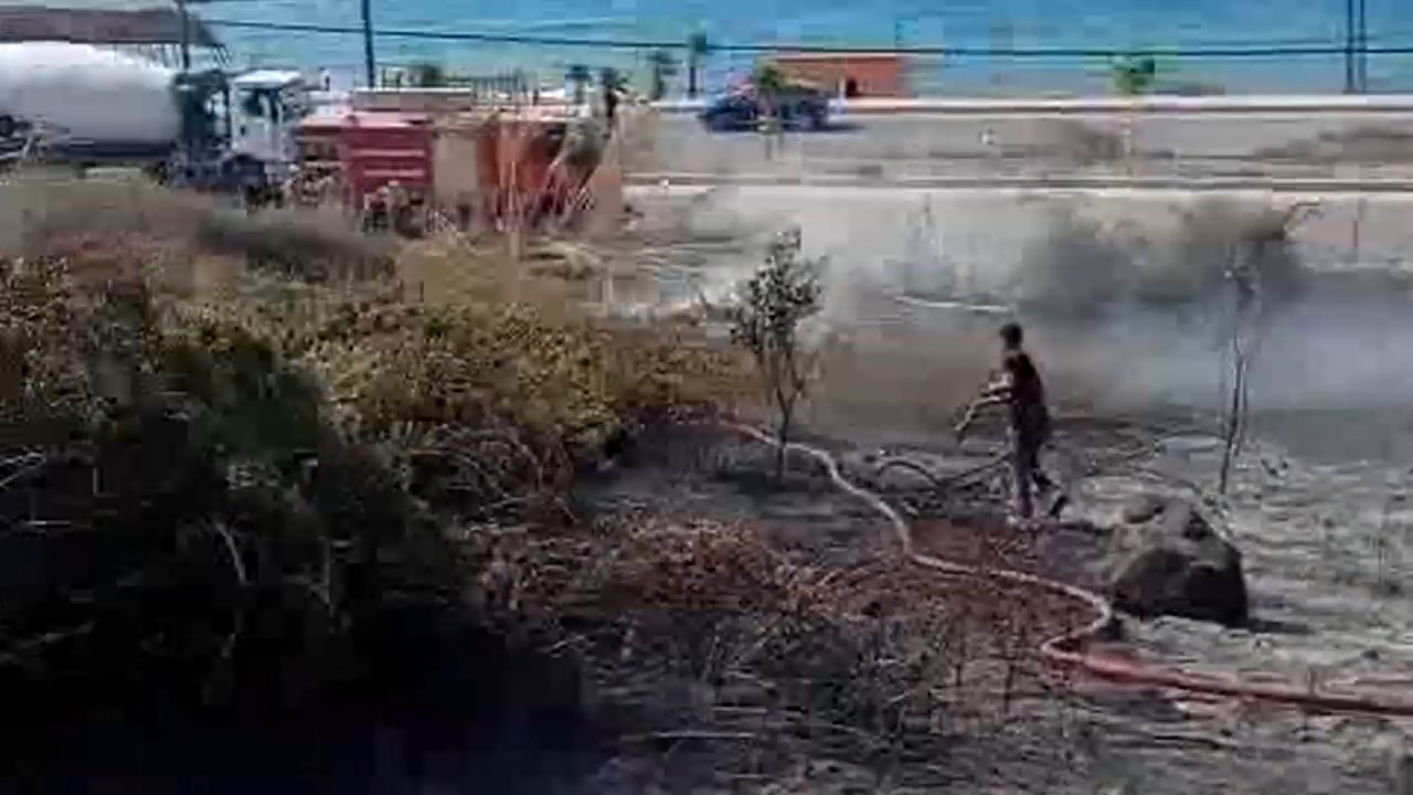 Ot Yangini Korkuttu (6)