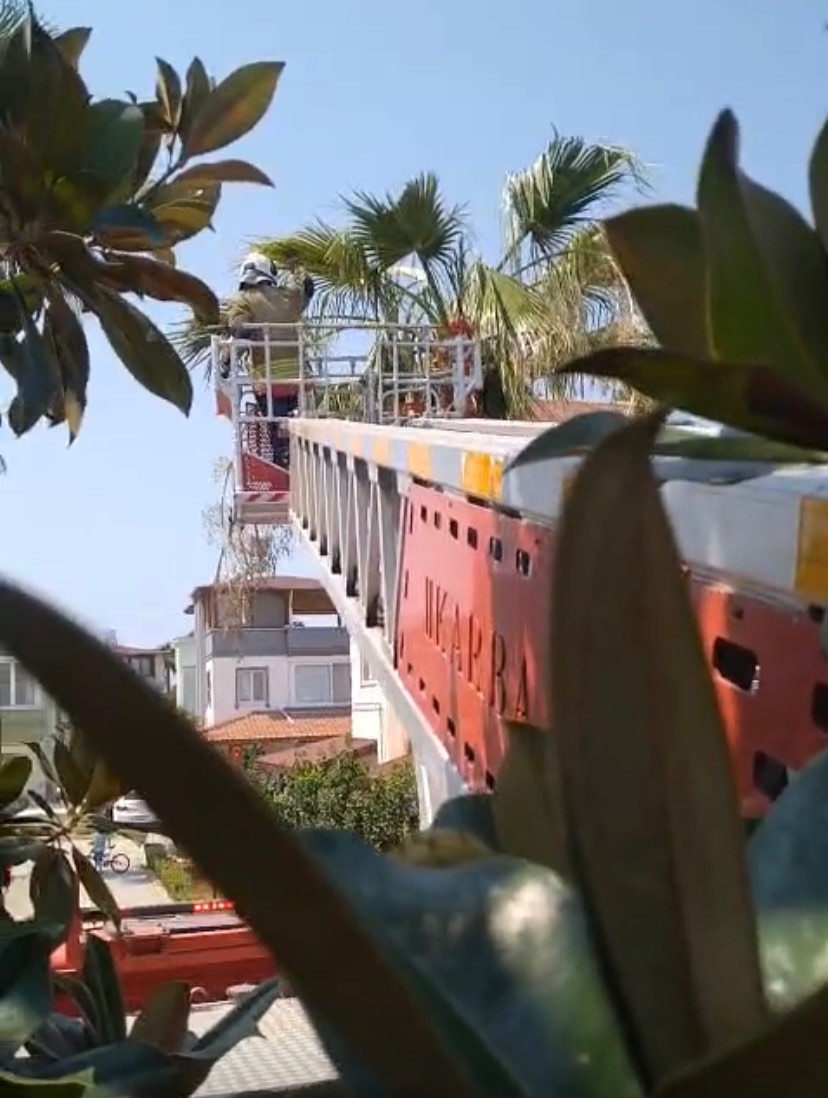 541217016 18291471757302183 1532139065451796313 N