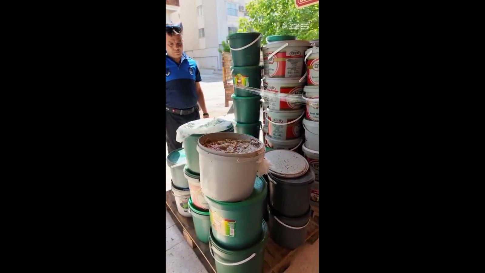 Eaddb74F D51C 418A 9D92 F5Bad194564D