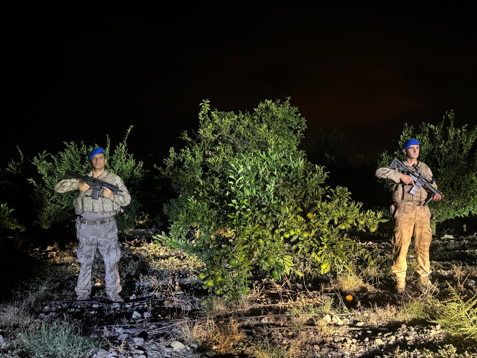 Narenciye Komandolara Emanet (8)