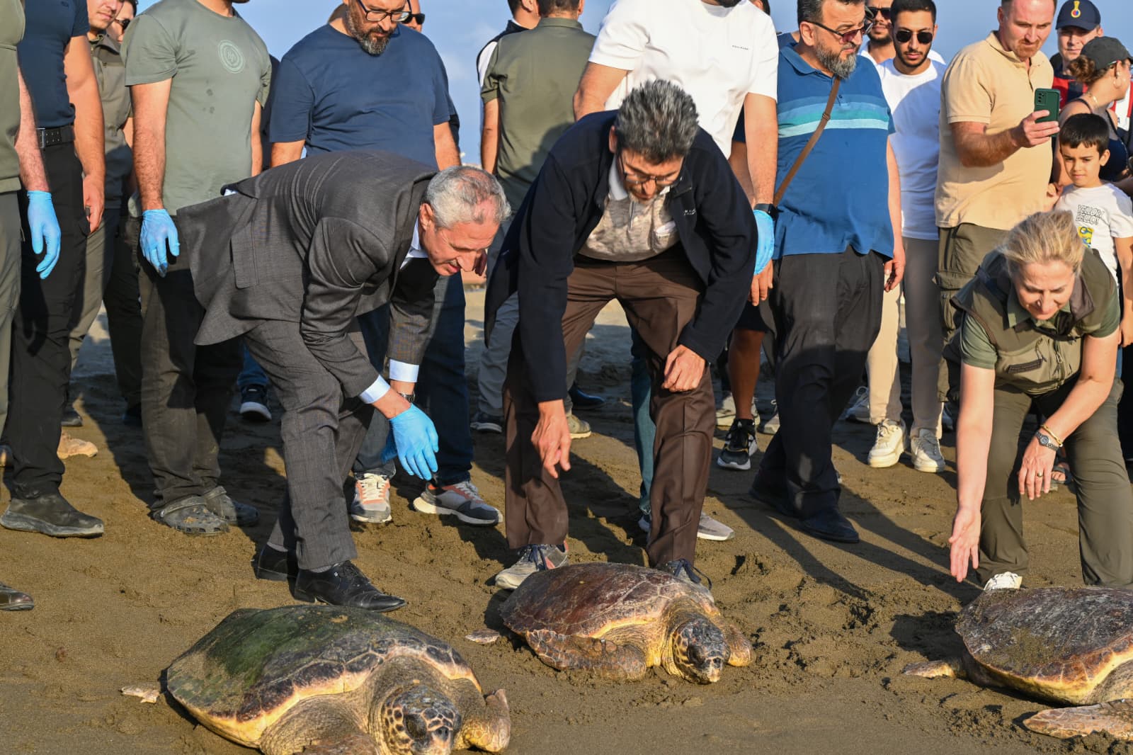 Yarali Kampulmbagalar (3)