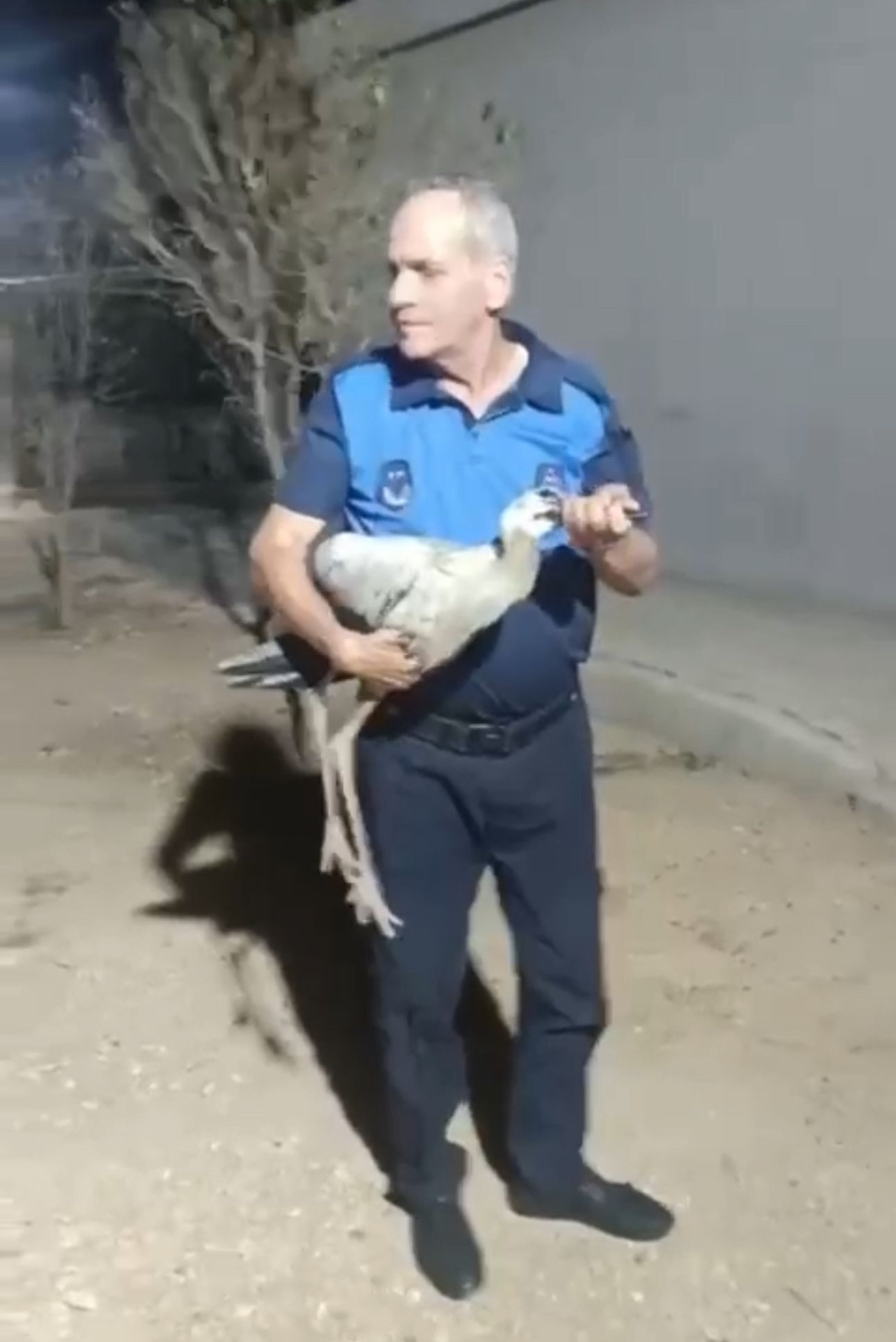 Zabitadan Leylek Sefkati (1)