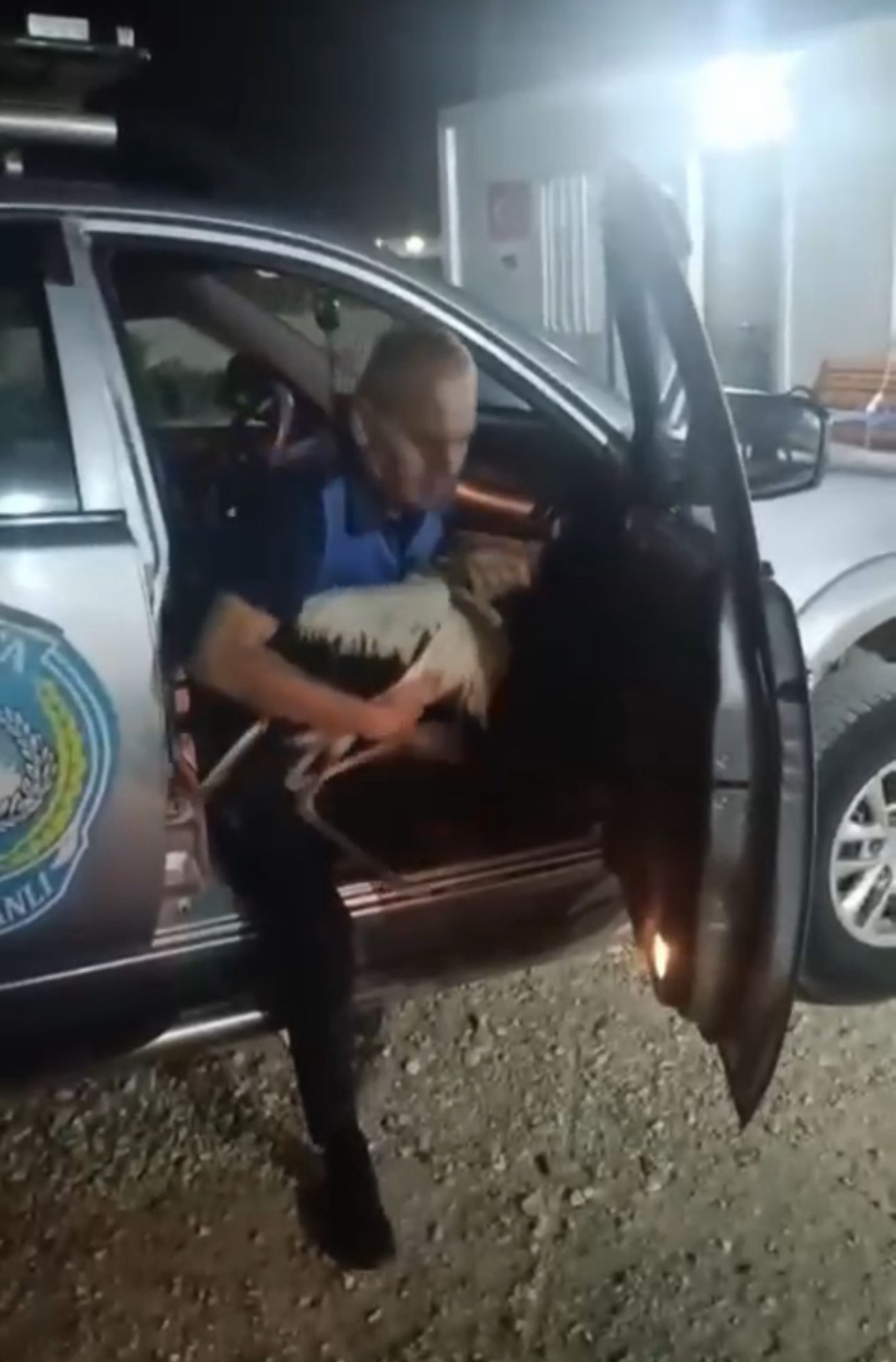 Zabitadan Leylek Sefkati (2)