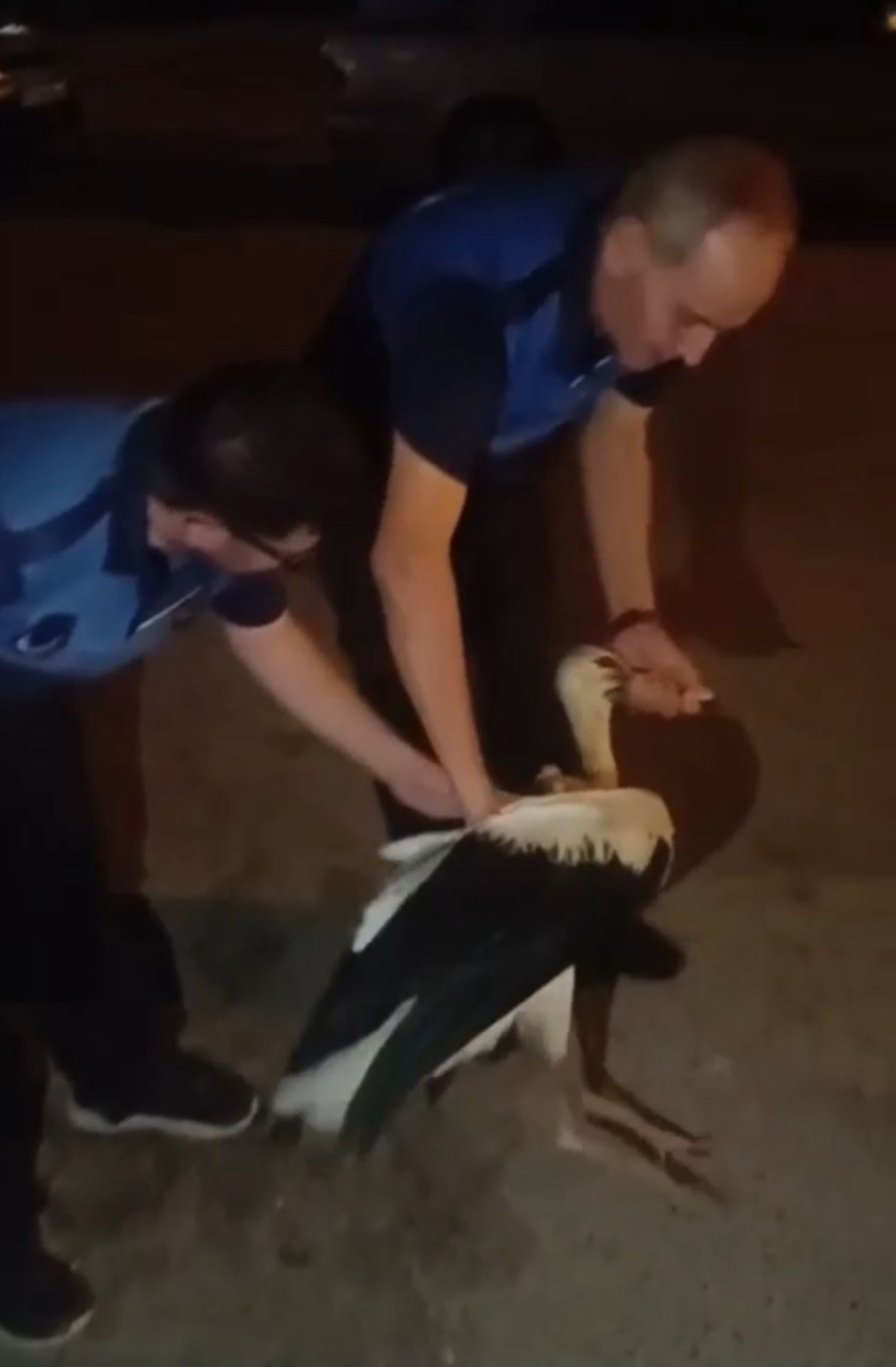 Zabitadan Leylek Sefkati (3)