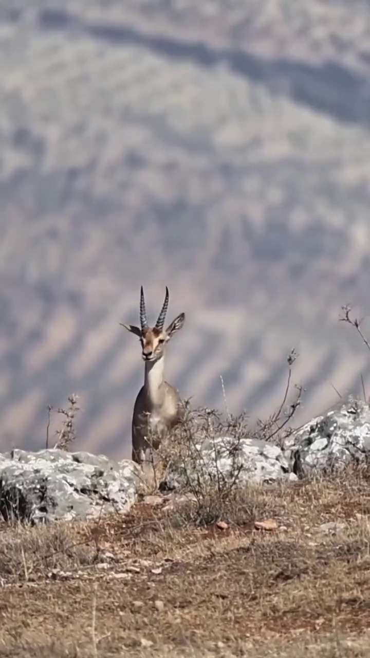 55C63A30 1497 40B9 A5Eb Cac0E77209D9