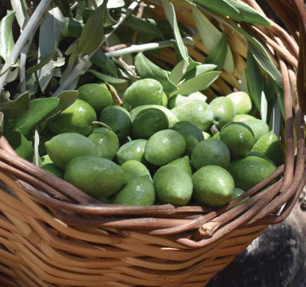 567825134 10163165256939730 4477873025679808469 N