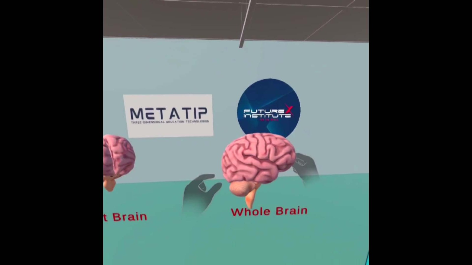 81325E69 5Cf8 489D B471 03Ef30E12D14