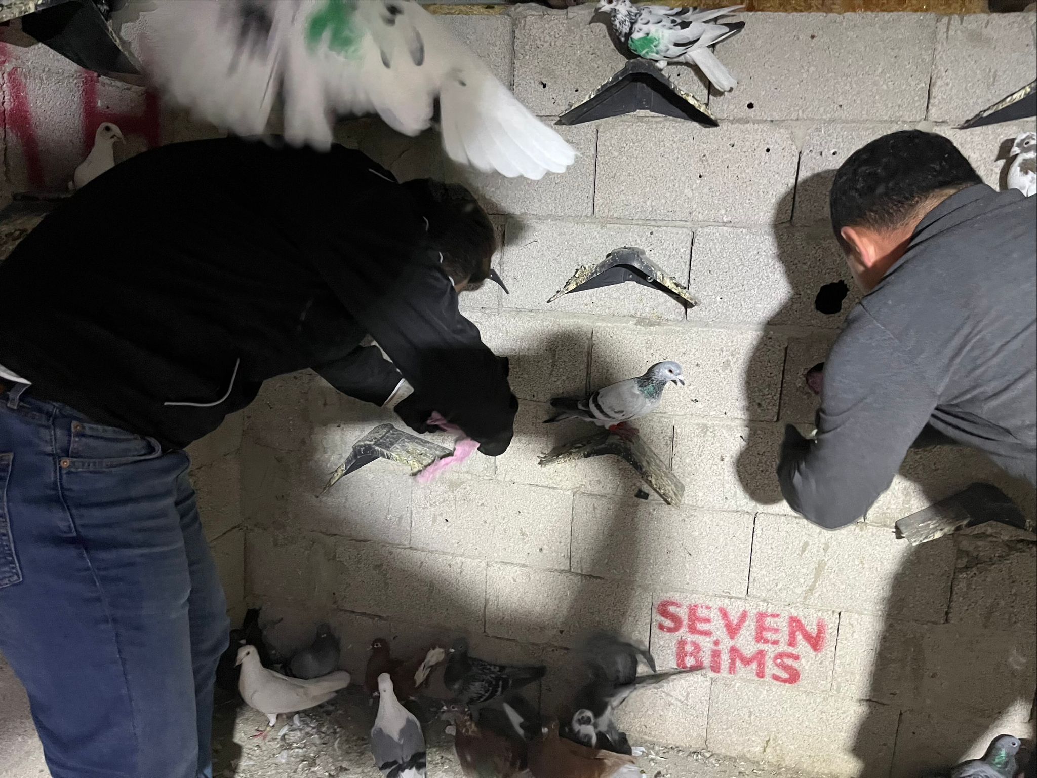 D4B171D7 Becc 4F14 B72E 5542D2B00299