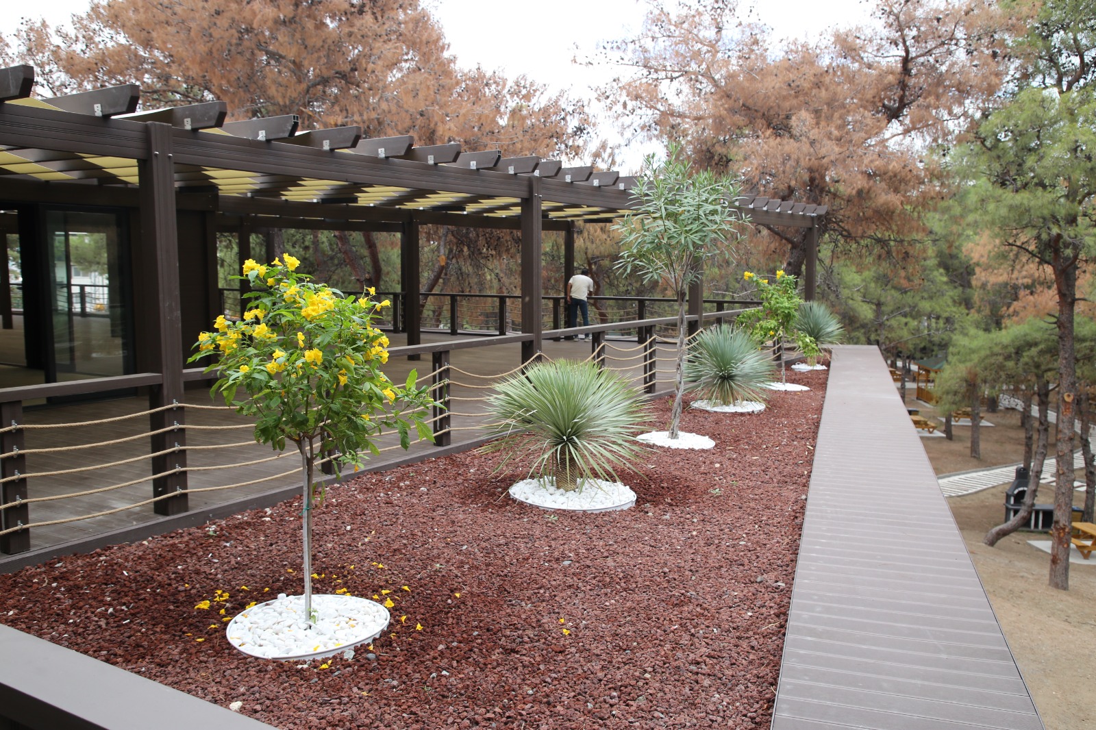 Orman Park Tesisleri (10)