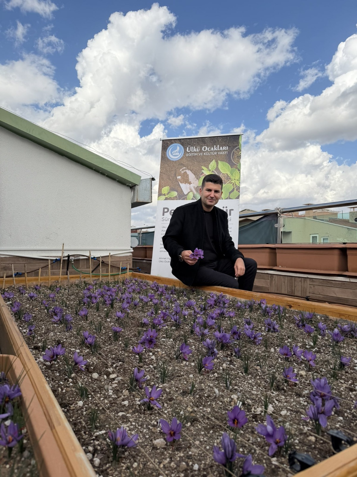 Terasta Safran Hasadi (1)