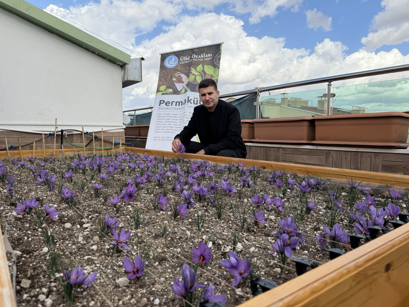 Terasta Safran Hasadi (3)