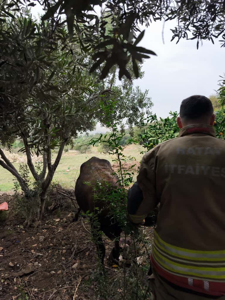 9F7Ff066 28E0 4C69 84B5 8Ff1D22F33C1