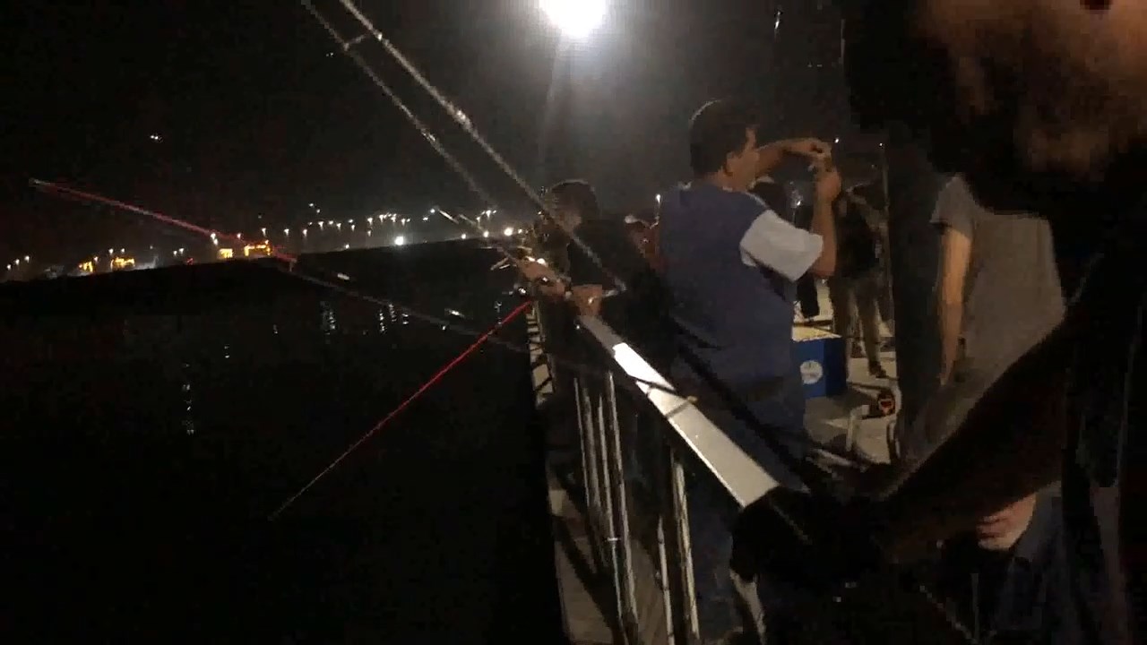 Dev Vatoz Kactix (4)