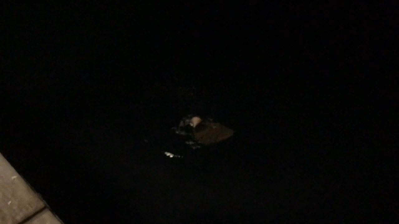 Dev Vatoz Kactix (6)